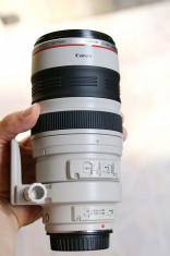 Canon EF 100-400mm f/4.5-5.6L IS USM foto