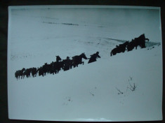 Foto militara ROMANIA Regalista WW2, coloana soldati, iarna, pe front in URSS foto