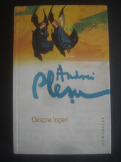 ANDREI PLESU - DESPRE INGERI (2012) foto