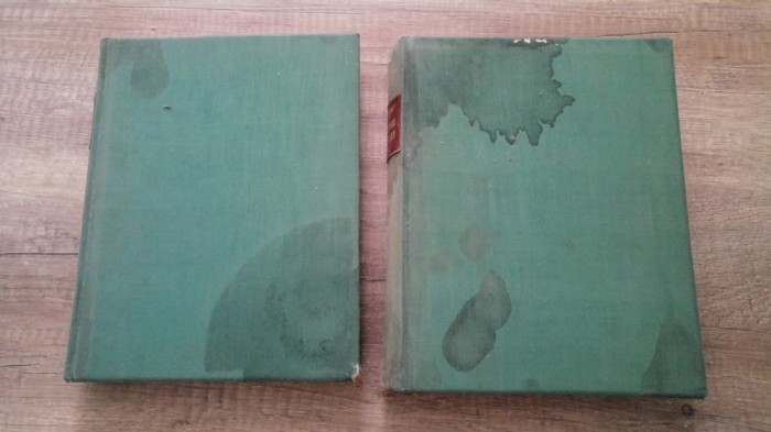 Nouvelle histoire universelle de l&#039;art - M. Aubert/ 2 volume
