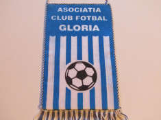 Fanion fotbal - GLORIA BISTRITA foto