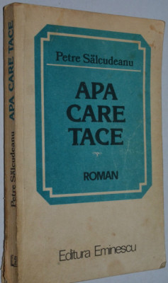 Apa care tace - Petre Salcudeanu foto