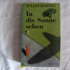 Julian Barnes - In die Sonne sehen