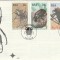 Fauna ,gaze gandaci FDC Sud Africa.