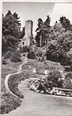 bnk cp Curtea de Arges - Ruinele bisericii San-Nicoara - uzata foto