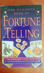 The Mammoth Book of Fortune Telling foto