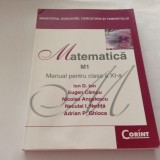 Matematica manual pentru clasa a xi-a Ion D ION,R21, Clasa 11