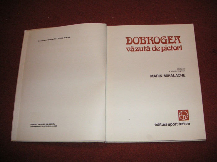 DOBROGEA VAZUTA DE PICTORI - MARIN MIHALACHE