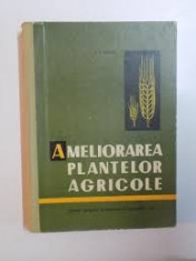 a.potlog ameliorarea plantelor agricole foto