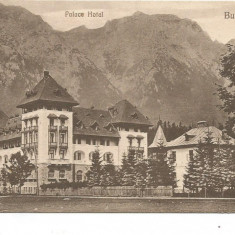 (A1) carte postala-BUSTENI-Hotel Palace