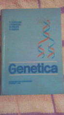 Genetica-Prof.Dr.Doc.T.Craciun... foto