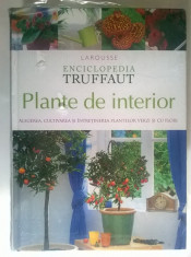 Plante de interior {Enciclopedia Truffaut} foto