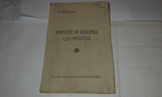 Dr.STEFAN CIOROIANU - BRAZDE IN OGORUL LUI HRISTOS Arad, Ed.1918. foto