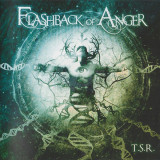 FLASHBACK OF ANGER - T.S.R., 2014