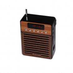 Radio portabil cu stick USB MD-98U foto