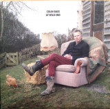 COLIN BASS (CAMEL) - AT WILD END, 2015, CD, Rock