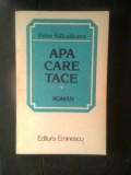 Petre Salcudeanu - Apa care tace (Editura Eminescu, 1984)