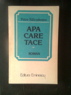 Petre Salcudeanu - Apa care tace (Editura Eminescu, 1984) foto