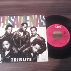 DISC VINIL THE PASADENAS-TRIBUTE 1988 DISC CBS STARE EXCELENTA