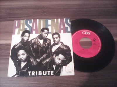 DISC VINIL THE PASADENAS-TRIBUTE 1988 DISC CBS STARE EXCELENTA foto