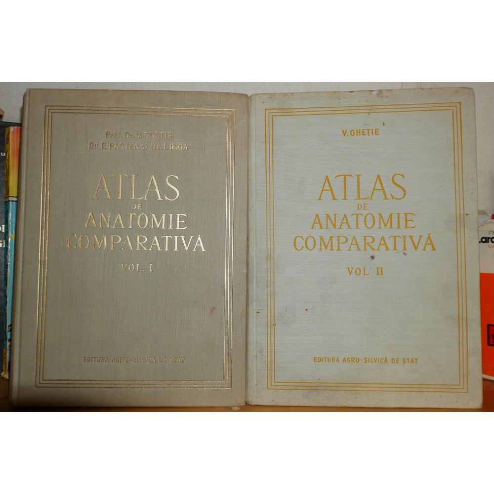 يلزم حافلة النسبة المئوية atlas anatomie comparata ghetie -  englishtoportuguesetranslation.com
