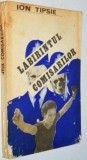 Labirintul Comisarilor - Ion Tipsie