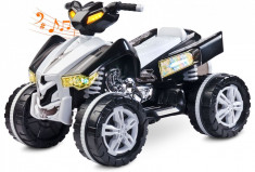 ATV Raptor 2 x 6V Black Toyz foto
