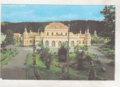 bnk cp Vatra Dornei - Vedere din parc - circulata foto