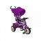 Tricicleta copii Sunny Steps 37-5 Violet Baby Mix