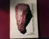 Florea Mogosanu Paleoliticul in Banat, princeps, ed. ilustrata, tiraj 1600 ex., Alta editura