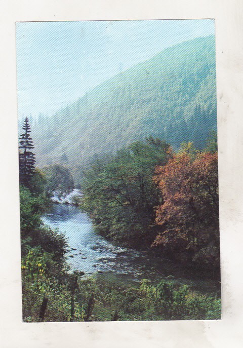 bnk cp Tusnad - Valea Oltului - circulata