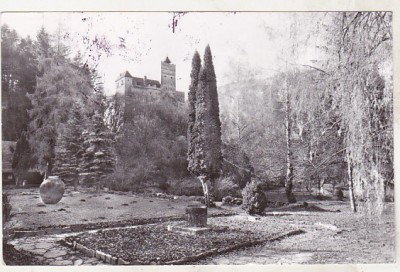 bnk cp Parcul cetatii Bran - Vedere - circulata foto