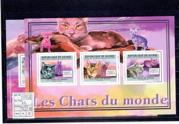 Guinea - pisici - 2011