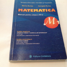 Matematica M1. Manual pentru clasa a XII-a - Marius Burtea, Georgeta Burtea,R19