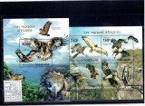 Togo - predator birds - 2011