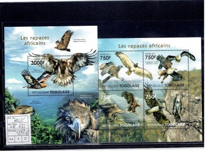 Togo - predator birds - 2011 foto