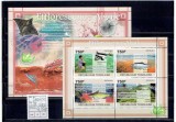 Togo - fishes - 2011
