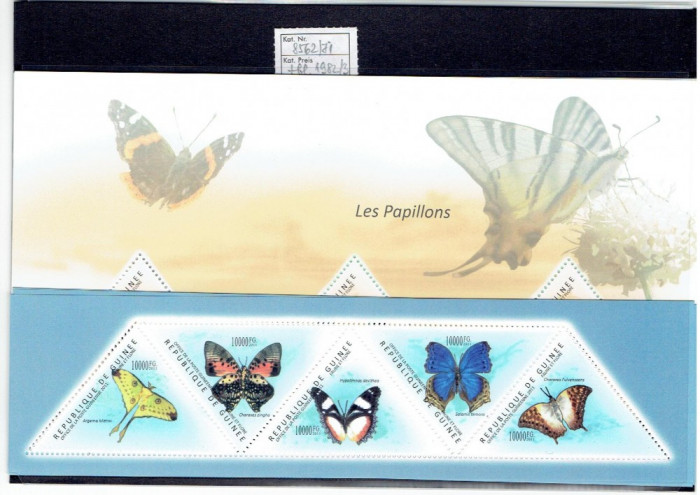 Guinea - butterflys 2011