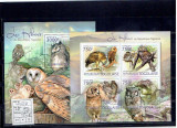 Togo - owls - 2012, Africa, Fauna