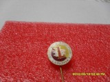 insigna AS Laromet Buc.