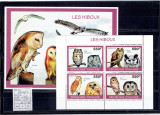 Togo - owls - 2010, Africa, Fauna
