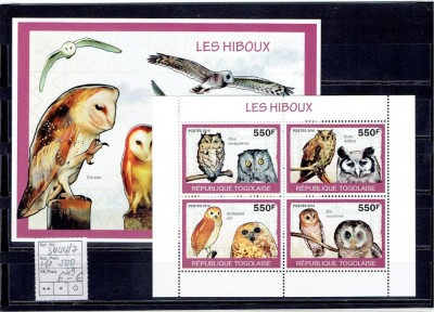 Togo - owls - 2010 foto