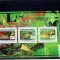 Guinea - broaste - 2011 set timbre