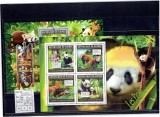 Guinea - Pandas - 2011, Africa, Fauna