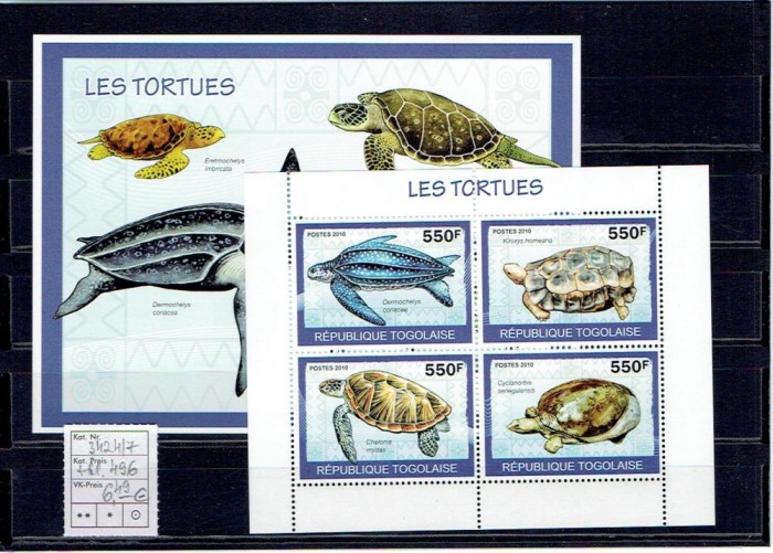 Togo - seeturtles - 2010