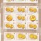 ISTORIA MONEDEI ROMANESTI,MINISHEET,2006,MNH ROMANIA.