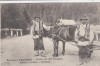 SALUTARI DIN CARPATI TIP DE RUTENI DIN CARPATI CIRCULATA 1916, Printata