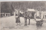 SALUTARI DIN CARPATI TIP DE RUTENI DIN CARPATI CIRCULATA 1916