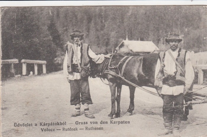 SALUTARI DIN CARPATI TIP DE RUTENI DIN CARPATI CIRCULATA 1916