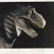 bnk cp Tyrannosaurus Rex - Vedere - necirculata